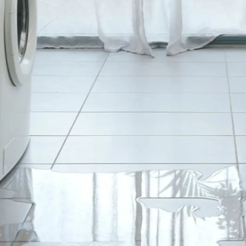 Appliance Leak Cleanup in Zebulon, NC