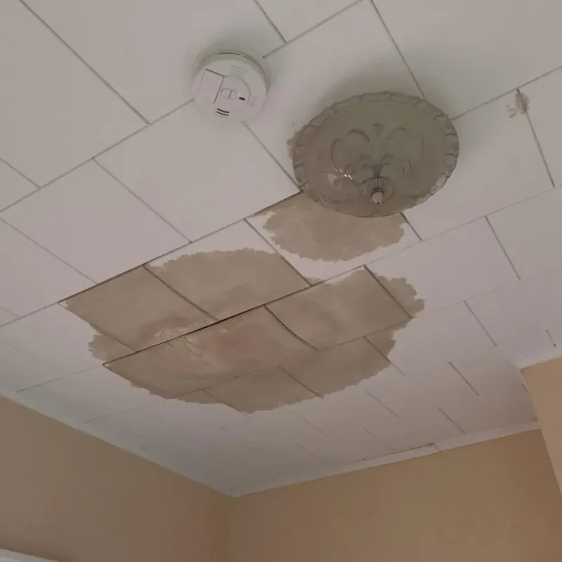 Ceiling Water Damage Repair in Zebulon, NC