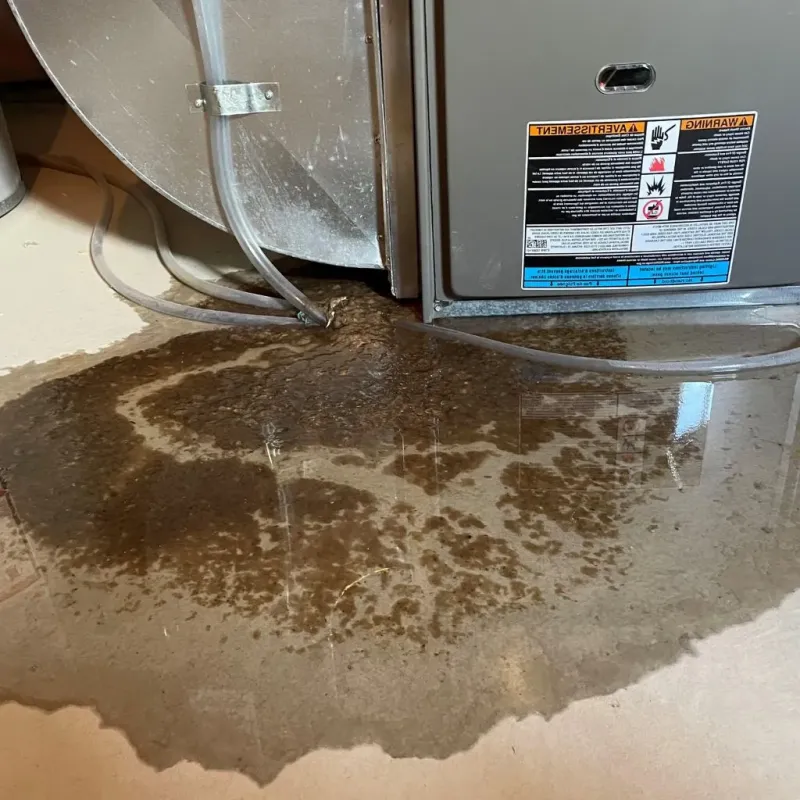 Pipe Burst and Leak Restoration in Zebulon, NC
