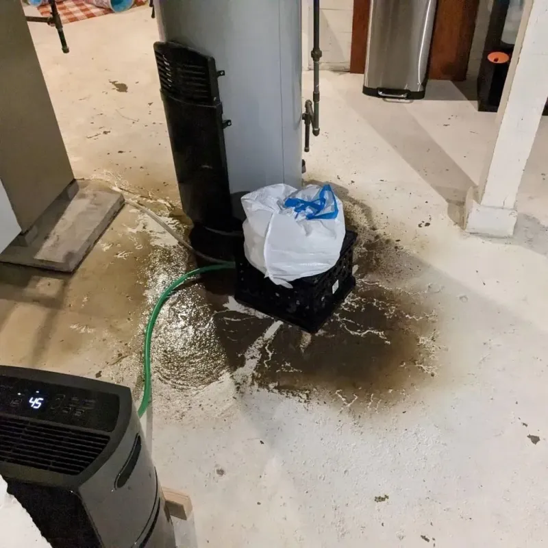 Sewage Backup Cleanup Service in Zebulon, NC